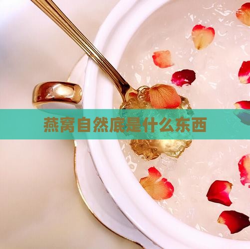 燕窝自然底是什么东西