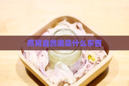 燕窝自然底是什么东西