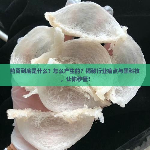 燕窝是什么怎么产生的