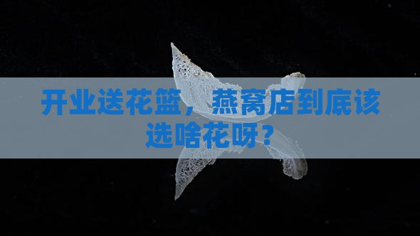 燕窝店开业花篮送什么花