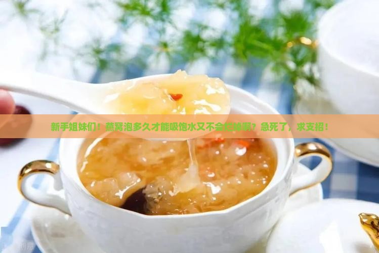 燕窝泡多久能断掉水分呢