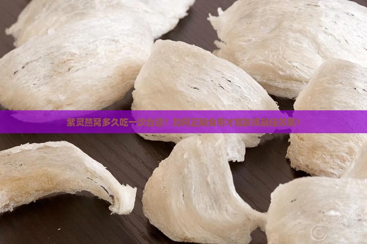 紫灵燕窝多久做一次合适