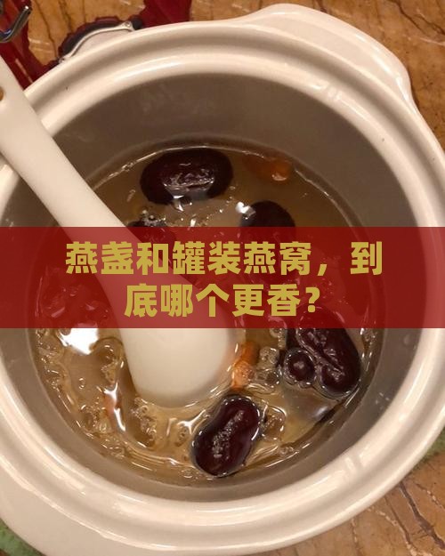 燕盏和罐装燕窝哪个好些