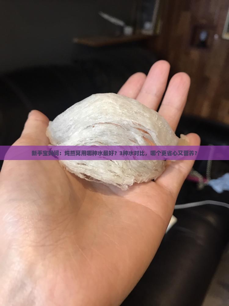 炖燕窝放用什么水炖好呢