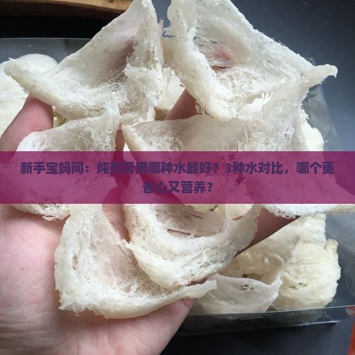 炖燕窝放用什么水炖好呢