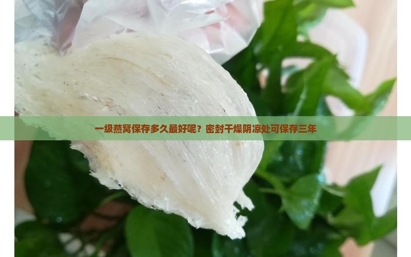 一级燕窝保存多久最好呢
