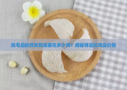 燕窝挑毛一共多少价钱