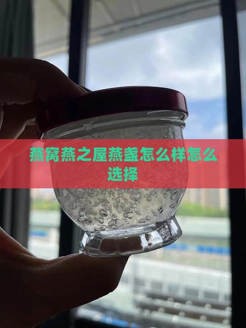 燕之屋燕窝燕盏怎么样