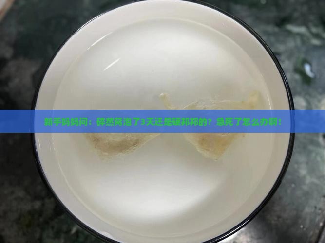 碎燕窝泡不开怎么回事儿