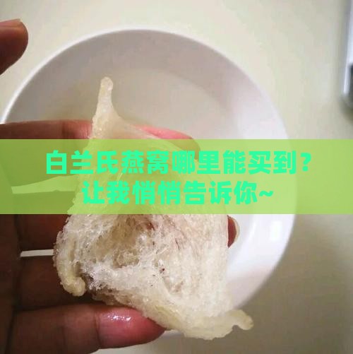 到哪里买到白兰氏燕窝