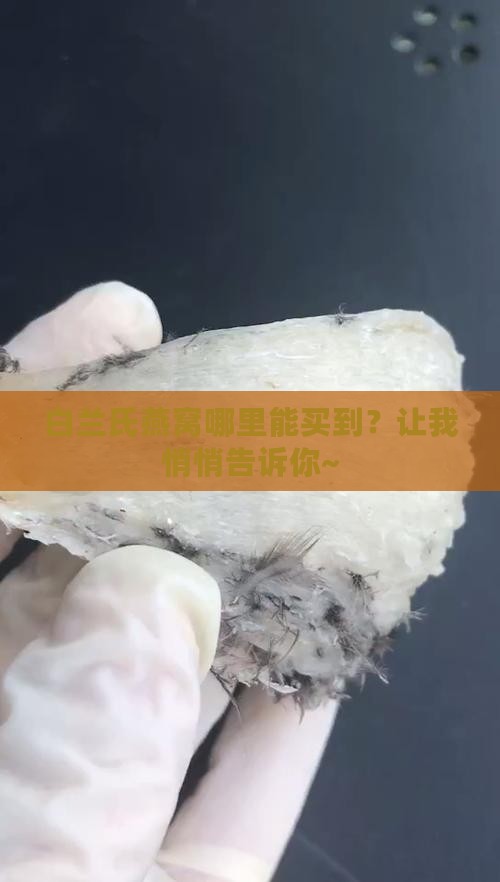 到哪里买到白兰氏燕窝