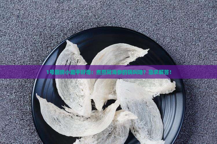 煮燕窝海参的锅叫什么
