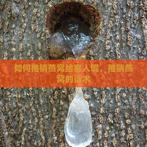 如何推销燕窝给客人呢