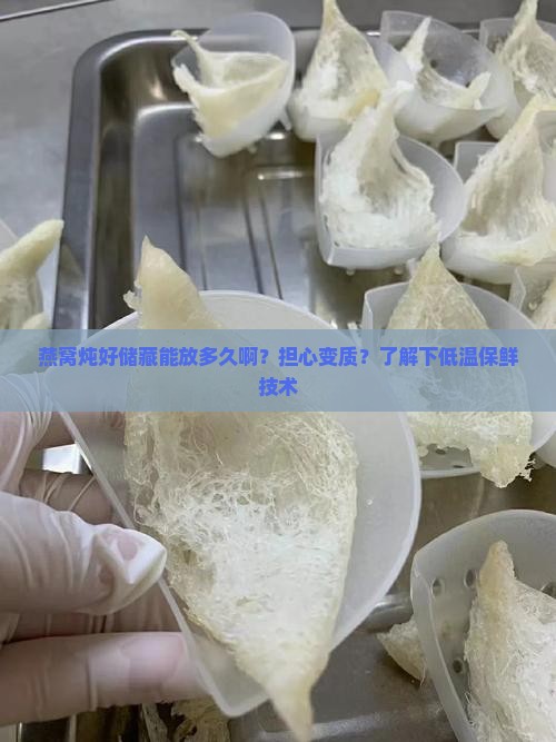 燕窝炖好储藏能放多久啊 燕窝炖好储藏能放多久啊