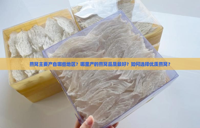 燕窝一般产在哪里的好
