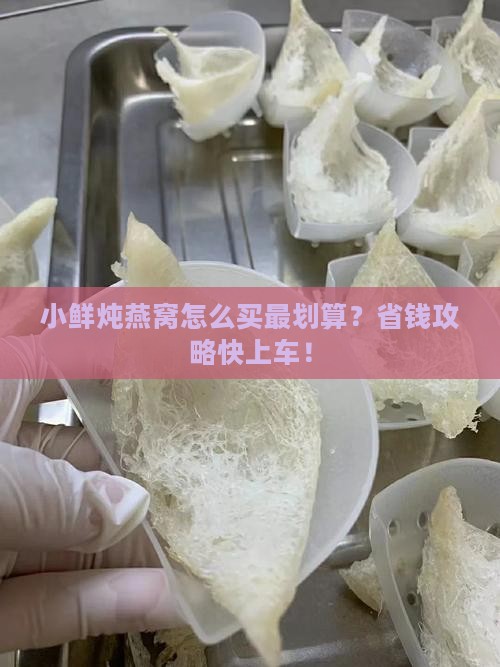 小鲜炖燕窝怎么买划算呢