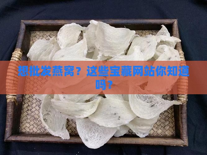 燕窝拿货批发网站有哪些