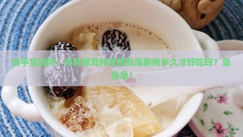 燕窝银耳炖煮锅多久熟