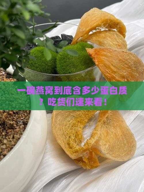 一碗燕窝含多少蛋白质