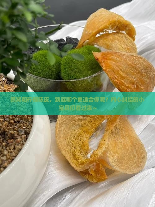 燕窝和柠檬陈皮哪个好
