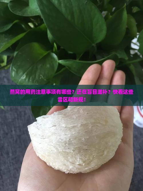 燕窝的用药注意事项有哪些