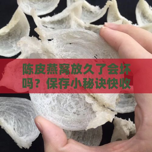陈皮燕窝怎么保存最好