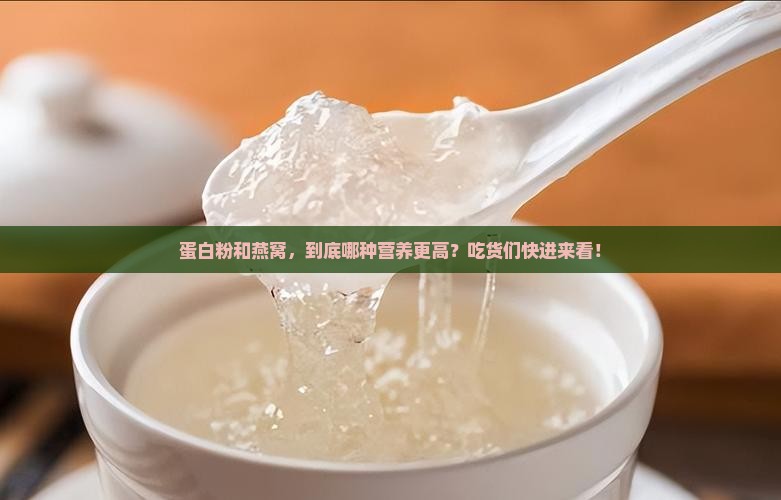 蛋白粉和燕窝哪个营养高