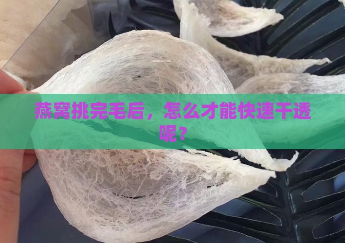 燕窝挑了毛怎么干的快