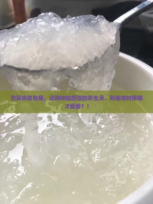 燕窝桃胶皂角什么时候喝