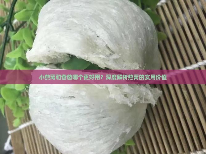 小燕窝和爸爸哪个好用