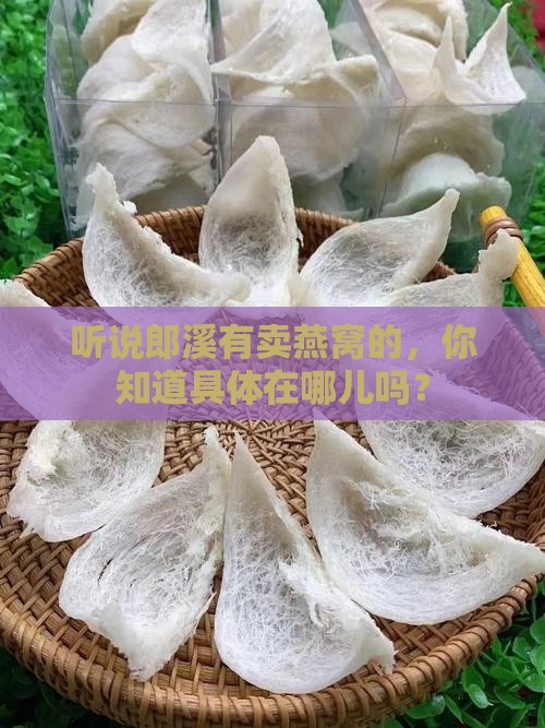 郎溪什么地方有燕窝买呀