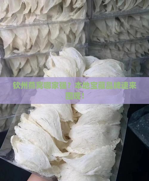 钦州燕窝品牌有哪些店