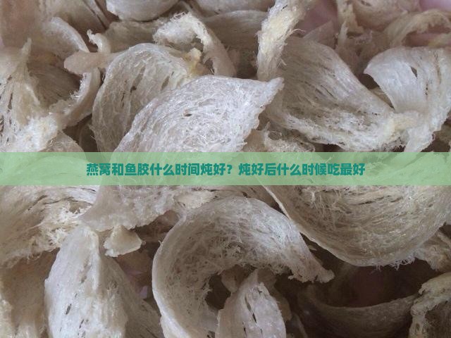 燕窝和鱼胶什么时间炖好
