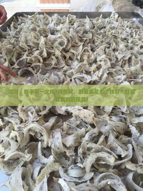 一次炖了7克燕窝多少钱