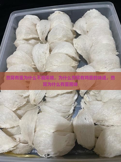 燕窝有蛋为什么不能采摘