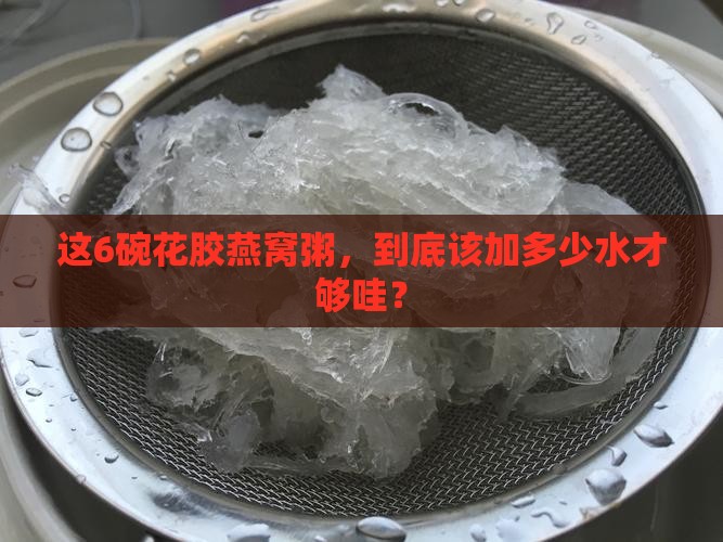 花胶燕窝粥6碗放多少水