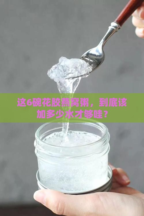 花胶燕窝粥6碗放多少水