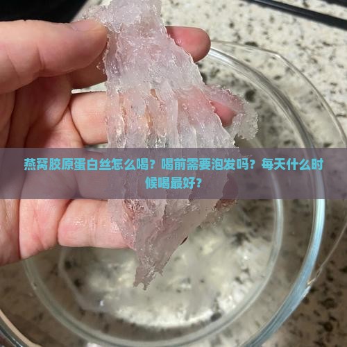 燕窝胶原蛋白丝怎么喝
