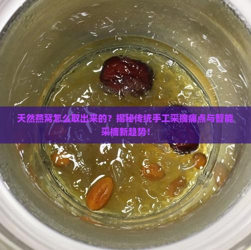 天然燕窝怎么取出来的