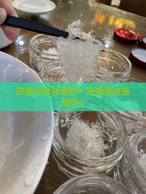 印度燕窝是什么样子的 印度燕窝是什么样子的