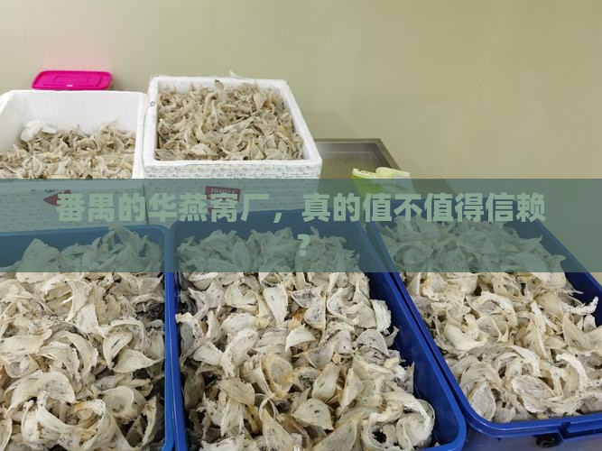 番禺经华燕窝厂怎么样 番禺经华燕窝厂怎么样