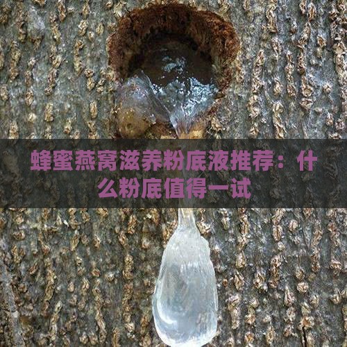 蜂蜜燕窝滋养粉底液推荐：什么粉底值得一试