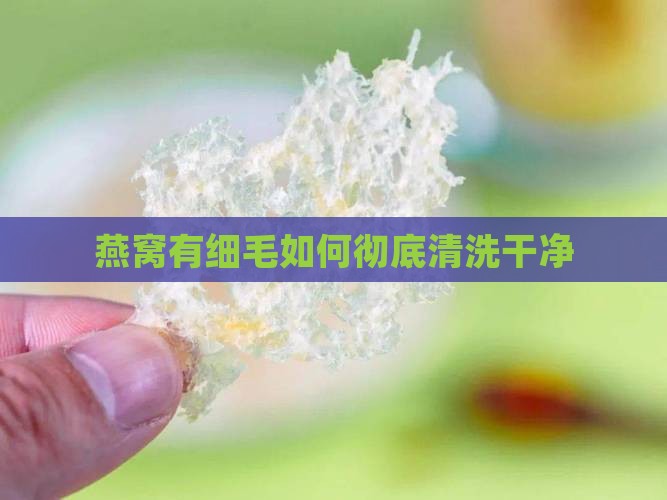 燕窝有细毛如何彻底清洗干净
