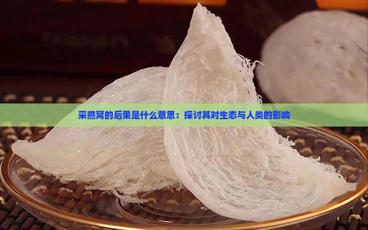 采燕窝的后果是什么意思：探讨其对生态与人类的影响