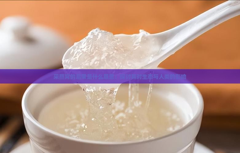 采燕窝的后果是什么意思：探讨其对生态与人类的影响