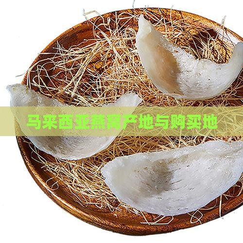 马来西亚燕窝产地与购买地