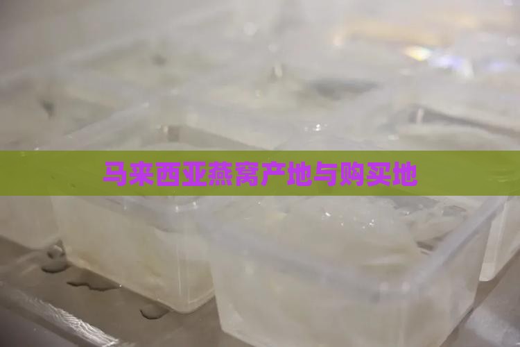 马来西亚燕窝产地与购买地