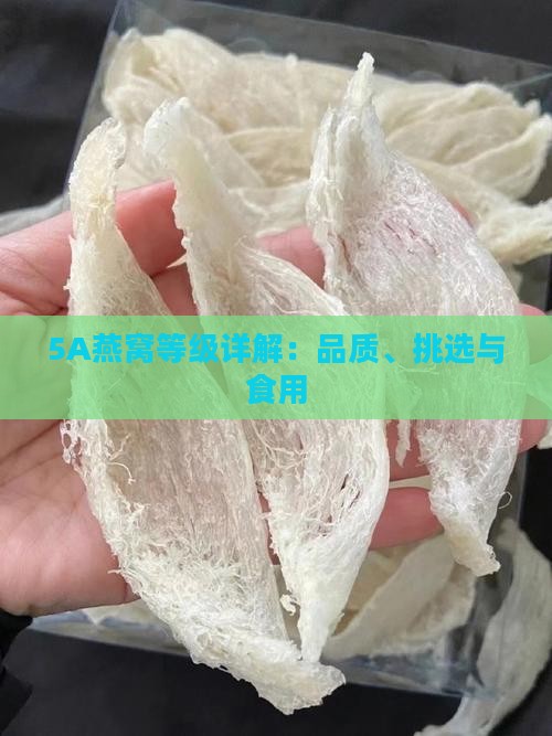 5A燕窝等级详解：品质、挑选与食用