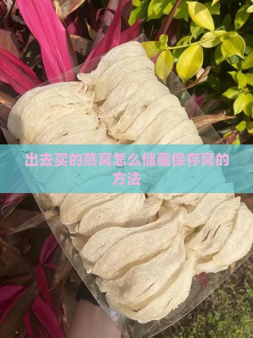 出去买的燕窝怎么储藏保存窝的方法