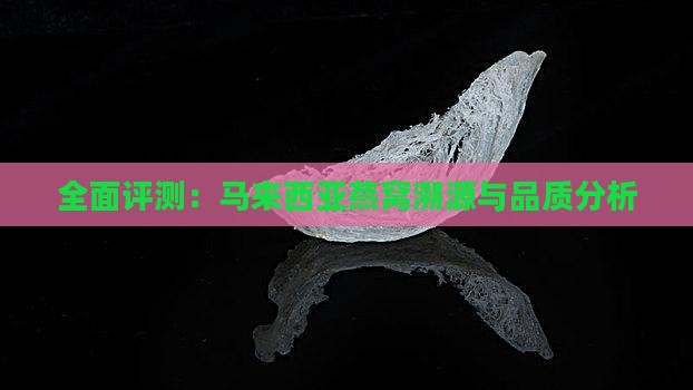全面评测：马来西亚燕窝溯源与品质分析